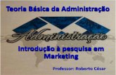 Introdução à pesquisa em Marketing - Prof. Roberto César · Pesquisa de marketing ... etapa da pesquisa, utilizando de métodos científicos e registros. O processo de pesquisa