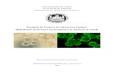 Produção de Vectores de Adenovírus Caninos ...repositorio.ul.pt/bitstream/10451/1810/1/21620_ulfc080741_tm.pdf · 3.2.2 Dimensões dos vírus e potencial Zeta.....18 4. ESTRATÉGIAS