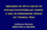Aplicações do SR no estudo de doenças transmitidas por ... · –> 1 ano de idade –Moradores de Teresina ... • % da população vivendo em favelas. Variáveis de exposição: