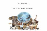 BIOLOGIA C TAXONOMIA ANIMAL - formacaosolidaria.org.br · •Estudo comparado dos organismos ... cromossomos, capazes de cruzarem ... Nomenclatura •Epíteto com letra inicial maiúscula