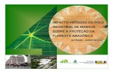 IMPACTO VIRTUOSO DO PÓLO INDUSTRIAL DE MANAUS … · 8 0 2 4 6 8 0 2 4 Desmatamento (Km2/ano) Acre Amapá Amazonas ... O PIM produz uma externalidade positiva para o Brasil e resto