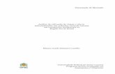 Dissertação de Mestrado Análise da utilização de chapas e ...posarq.ufsc.br/files/2010/08/DISSERTACAO-MAIARA.pdf · em construções residenciais na ... industrializadas, como