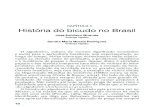 CAPÍTULO 1 História do bicudo no Brasilainfo.cnptia.embrapa.br/digital/bitstream/item/141686/1/Historia... · A história da cotonicultura no Brasil pode ser dividida em ... Usado