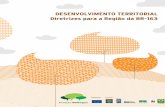 DESENVOLVIMENTO TERRITORIAL Diretrizes para a Regi o …assets.wwfbr.panda.org/downloads/livro_desenvterritorial_1.pdf · Centro de Desenvolvimento Sustentável ... dos do Mato Grosso