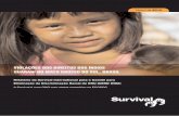 Baixe o relatório da Survival sobre os Guarani. · No que concerne à desnutrição e suicídio entre os Guarani, ... que ‘A terra é sagrada para os Kaiowá. A terra é a essência