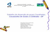 Cocalzinho de Goiás e Ceilândia - DFprojetos.extras.ufg.br/ridesaude/images/Documentos/cavalhadas.pdf · Taxa de Tempo da Média Permanência Hospitalar (TMP) de abril 2009 à março