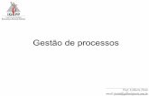 Gestão de processos · Gestão de processos . Prof. Gilberto Porto email: porto@gilbertoporto.com.br Visão funcional da organização Visão por processos da organização