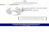 Brasil / Belo Horizonte RAS TID Relatório Finalwhite.lim.ilo.org/ipec/documentos/ras_brasil_belohorizonte.pdf · Las referencias a firmas, procesos o productos comerciales no implican