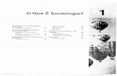 Microssociologia X macrossociologia · 2017-02-15 · fatos sociais - aspectos da vida social que modelam \(padronizam\) as ações individuais: economia, religião . sociedade X