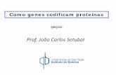 Prof. João Carlos Setubal - iq.usp.br · • Síntese de DNA – A DNA polimerase é uma proteína. Variedade das proteínas humanas. Mas o que tem DNA a ver com ... Carbono alfa.