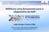 ROPScore uma ferramenta para o diagnóstico da ROP · STRESS E DEBILITAÇÃO FÍSICA AO PREMATURO (em função dos exames repetitivos) INCLUSÃO DE PACIENTES POR PN / IG Zin A, Moreira