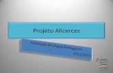 Projeto Alicerces - Página Inicialalicerces.espjs.edu.pt/documentos/formacao/lp/documentos/1_sessao... · Desenvolvimento da Consciência Linguística: Gramática; Terminologia Linguística
