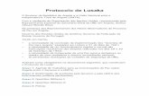 Protocolo de Lusaka - Padoca Onlinepadoca.org/pag/Docs/Protocolo_Lusaka.pdf · • as pertinentes resoluções do Conselho de Segurança da ONU, ... Desarmamento de toda a população