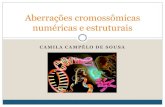 Aberrações cromossômicas numéricas e estruturais - UFPIleg.ufpi.br/subsiteFiles/gem/arquivos/files/aberracoes(1).pdf · Aneuplóides Constituição cromossômica Nulissômico