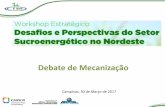 Debate de Mecanização - CNPEM – Centro Nacional de ...pages.cnpem.br/wectbe/wp-content/uploads/sites/83/2017/04/Jorge... · Quantificação das classes de declividade das áreas