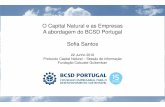 O Capital Natural e as Empresas A abordagem do BCSD ... · O BCSD Visão Em 2030 Portugal é um país Europeu de referência nas soluções empresariais que promovem uma economia