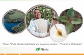 “Case Fibria: Sustentabilidade em projetos sociais ... · 1 milhão e 93 mil 405 mil hectares ... rurais, assentados da agricultura familiar por meio do uso múltiplo da floresta,