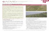 Produção Integrada da Vinha - ADVID · para níveis de produção previsíveis em função do poten-cial gené-co da cultura, ... de material vegetal com passaporte ﬁtossanitário