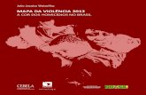 Mapa da violência 2012 · Capa: Ana Carla Gualberto Cardoso ... que verifica o quesito raça/cor dos homicídios em nível nacional até os dias de ... necessário elaborar um novo