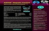 Adiva Hepatic Canine 2 copia - vetnova.netvetnova.net/po/complementos_po/Documentos/FICHAS TECNICAS E_VET... · altos níveis de aminoácidos enxofrados, ... a divisão. É um factor