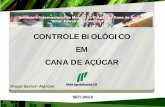 CONTROLE BIOLÓGICO EM CANA DE AÇÚCARstab.org.br/palestras_de_pragas_2012/07_diogo_alarcon_sem_pragas.pdf · controle biolÓgico. em. cana de aÇÚcar. set/2012 seminÁrio internacional