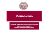 Faculdade de Direito da Universidade de São Paulo · Arts. 1314 a 1330 do Código Civil Direitos do condômino (1314) direito de exigir a divisão da coisa comum (1320) – proibi