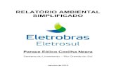 RELATÓRIO AMBIENTAL SIMPLIFICADO - …licenciamento.ibama.gov.br/Parque Eolico/Parque Eolico Coxilha... · O Conselho Mundial de Energia em seu relatório ... da energia eólica