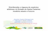 Distribuição e riqueza de espécies arbóreas no Estado de ...ciram.epagri.sc.gov.br/ciram_arquivos/arquivos/iff/pdf/IISeminario/... · ausência de interações bióticas ... uso
