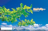 O manual da pessoa maravilhosa - city.hamamatsu.shizuoka.jp · Folhas de caqui de Oidaira que brilham ao céu azul H a m a m a t s u M a n ... Valorizar o encontro entre as pessoas