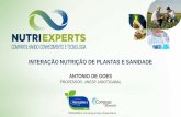 INTERAÇÃO NUTRIÇÃO DE PLANTAS E SANIDADE 01/04 Antonio de Goes... · +chance esporulação +infecção/sintomas +micotoxinas NUTRIÇÃO DE PLANTAS E SANIDADE. Relações entre