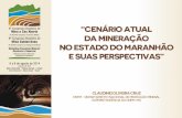 Apresentação do PowerPoint - Instituto Brasileiro de ... · Melhoria da pista de pouso existente em Godofredo Viana para aviões de pequeno porte; Inserção de novas relações