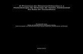 O Processo de Desenvolvimento e a Metodologia do Boletim ... · O Processo de Desenvolvimento e a Metodologia do Boletim de Saúde Ambiental da Baía de Guanabara ... relevantes para