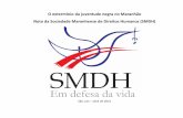 355nio da juventude negra) - SMDH | Em defesa da Vida · maranhao/ . No mesmo sentido, foi apresentada uma proposta de reformulação do sistema de informações sobre violência