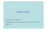 Especiação - dreyfus.ib.usp.brdreyfus.ib.usp.br/bio103/especiacao.pdf · Especiação alopátrica. Especiação: resultado de acúmulo de diferenças genéticas entre populações