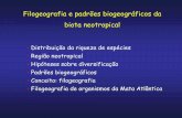 Filogeografia e padrões biogeográficos da biota neotropicallhe.ib.usp.br/BiogeografiaNeotropical/lib/exe/fetch.php?media=... · Especiação: alopátrica. Carnaval & Moritz, 2008