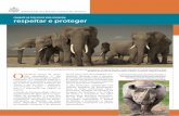 Embaixada dos Estados Unidos da América · Loomis e equipe colocam uma coleira em um elefante no Parque Nacional de Mt. Cameroon. ©North Carolina Zoological Park Respeitar e proteger