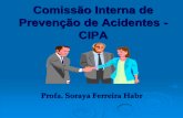Comissão Interna de Prevenção de Acidentes - CIPA · situação de risco grave e iminente, houver solicitação expressa de uma das representações. ... (EPIs) e de proteção