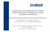 Governança: possibilidades de arranjos institucionais para ...unstats.un.org/unsd/envAccounting/workshops/brazil2009/S5.2-P.pdf · – Exemplos de instituições produtoras • Agência