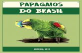 Papagaios do Brasil - Imasul · Para dormir reúnem-se em bandos e utilizam um local chamado “dormitório coletivo”, com muitas árvores para descansar e se proteger de outros