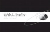 Módulo II – Conselhos dos Direitos no Brasil · 71 Módulo II - Conselhos dos Direitos Capítulo 1 - Participação e controle social na garantia dos direitos humanos pressuposto
