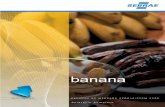 banana - bibliotecas.sebrae.com.br · 4.4. O consumo da banana no mercado interno brasileiro ... AAB Terra Terra, Pacova, D’Angola ABB Figo Figo Vermelho ou Cinza AAAB – Ouro