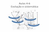 Aulas 4-6 Evolução e sistemática - Anglo Guarulhosangloguarulhos.com.br/wp-content/uploads/2017/07/FRENTE-3-Aulas-4... · Cnidários •Possuem cnidoblastos •Dois folhetos embrionários.