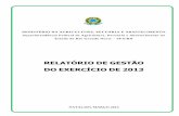RELATÓRIO DE GESTÃO DO EXERCÍCIO DE 2013 · 63/2010, Instrução Normativa ... 67 5.2.6 Composição do Quadro de Estagiários ... IG Indicação Geográfica