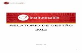 RELATORIO DE GESTÃO 2012 - Instituto Sabininstitutosabin.org.br/site/wp-content/uploads/2013/01/Relatorio_de... · Seletiva da Liga Internacional de Basquete de Rua (Liibra) –