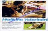 veterinariaholistica.netveterinariaholistica.net/assets/artigo_revista_marca.pdf · promove a recuperaçäo de diversas patologias orgânicas (digestivas, respiratórias, dermatológicas,