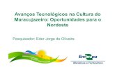 Avanços Tecnológicos na Cultura do Maracujazeiro ... · Análise da produtividade média (ton/ha) de oito cultivares de maracujazeiro azedo cultivados em sistema de produção irrigado