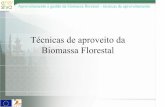 Técnicas de aproveito da Biomassa Florestalenersilva.navegantes.info/resultados/Eugenia Rodrigues CBE.pdf · perspectiva de optimização das operações e do aumento do rendimento