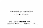 Formação de Professores no Paraná: o PIBID em fococac-php.unioeste.br/programa/pibid/Livros_PIBID... · Fazer a conexão entre esses dois lugares institucional e historicamente