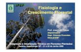Fisiologia e Crescimento Florestal - ipef.br · 0 1000 2000 3000 4000 5000 ... Para Produzir 2 milhões m³ Madeira (Ciclo de 6 anos) ... Terra 13.889 ha 6.945 ha Água 629 milhões