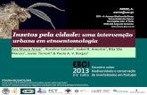 CITA A Azorean Biodiversity Group Universidade dos Açores ... pela... · Quanto à importância dos insetos e seu papel na natureza Critérios de classificação taxonómica: morfológicos